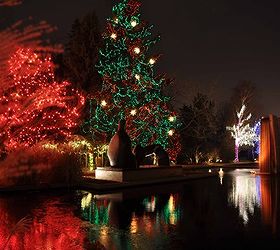 christmas lights, christmas decorations, lighting, seasonal holiday decor, The former blue tree at the Denver Botanic gardens dressed in red and green