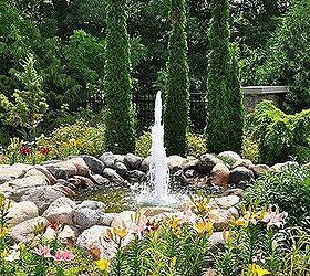 tips on growing beautiful lilies, gardening, ponds water features, Low to medium height lilies provide a ring of color around a water feature