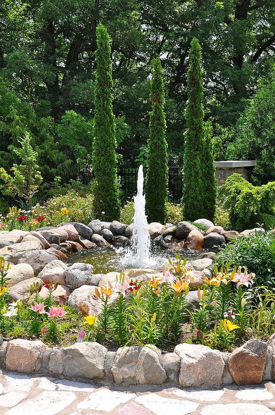 tips on growing beautiful lilies, gardening, ponds water features, Low to medium height lilies provide a ring of color around a water feature