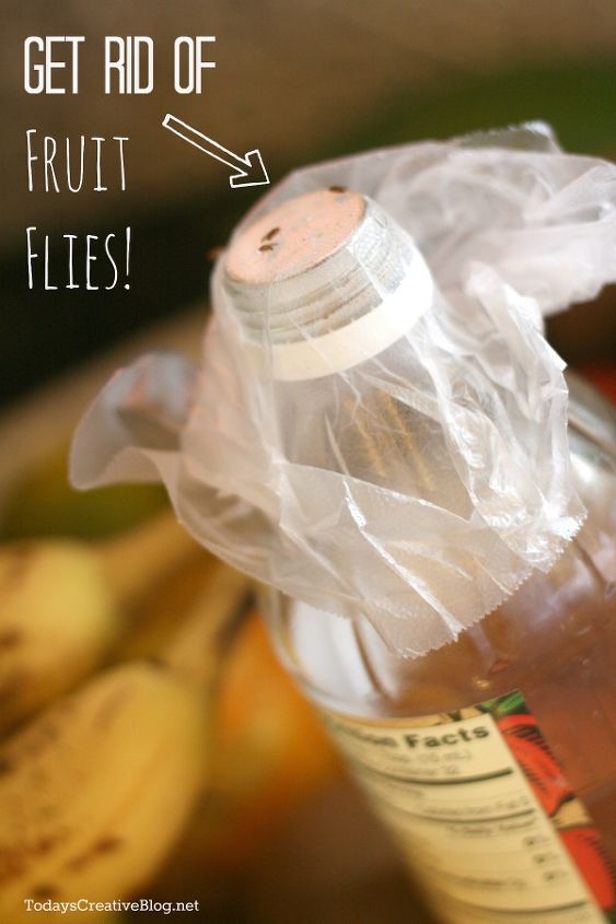 how to get rid of fruit flies, gardening, pest control