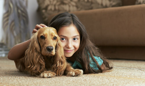 how to remove nasty smells from your carpets, cleaning tips, flooring, Dog and little girl on the carpet