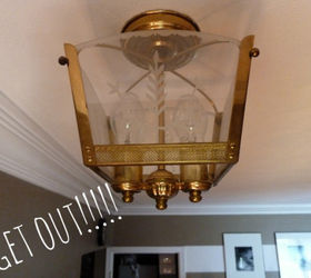 diy chandelier with shade for under 20, diy, home decor, lighting, The original fixture I removed the glass but kept the rest to use as a foundation I clipped chandelier crystals along the bottom