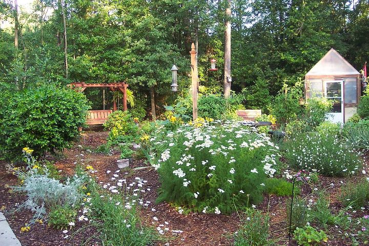 backyard and garden, flowers, gardening, outdoor living