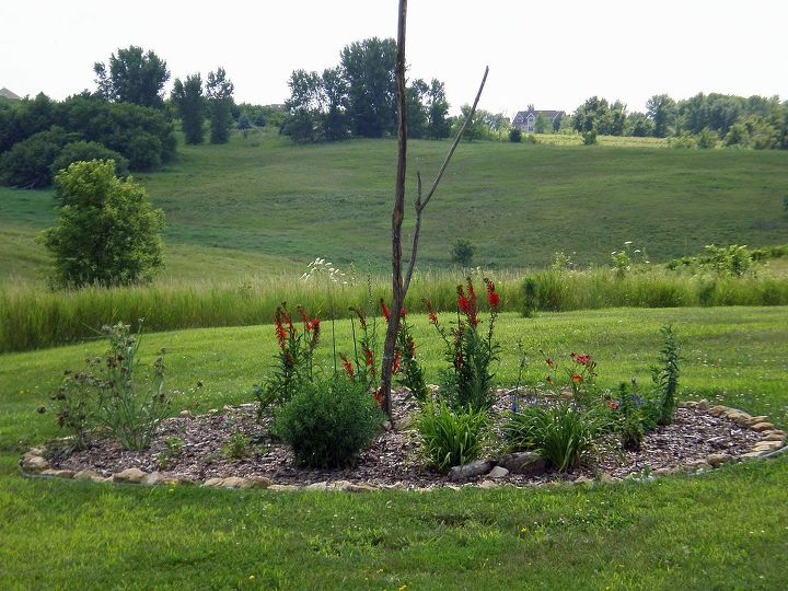 summer gardens in wisconsin, flowers, gardening, This is the butterfly garden planted with varieties of flowers that attract them