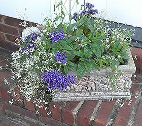plan now annual flower containers, container gardening, flowers, gardening, Heliotrope diamond frost euphorbia