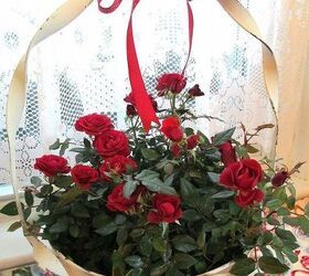 be my valentine, seasonal holiday d cor, valentines day ideas, red roses symbolize love