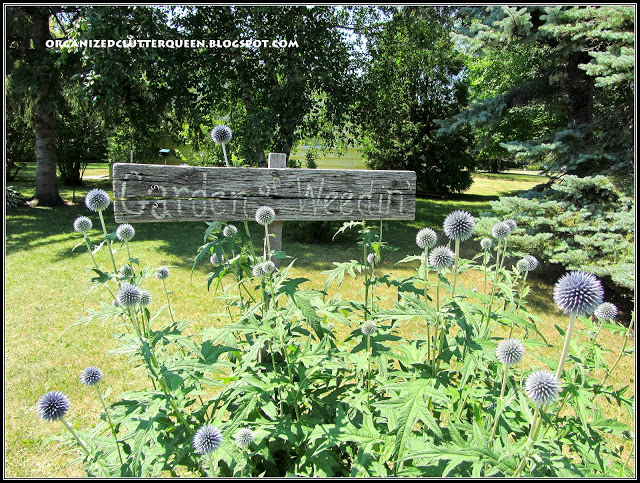 garden signs are a must in a cottage garden, container gardening, crafts, flowers, gardening, This is one of my all time favorites the Garden of Weed n
