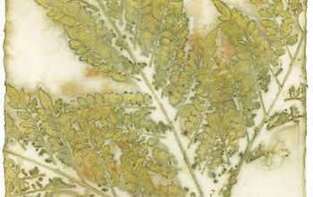 Leaf Print Art Created by Steaming Leaves Against Watercolor Paper