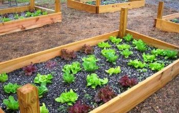 How to Build Raised Beds