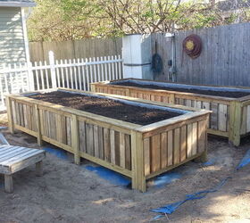 Raised Bed Gardens From Pallets Hometalk