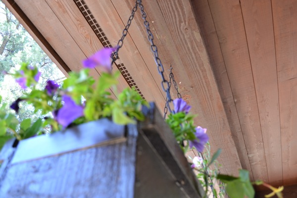 may flower boxes across our huge front porch makes me happy, curb appeal, diy, flowers, gardening, how to, woodworking projects, Close up of the maygarden on the front porch