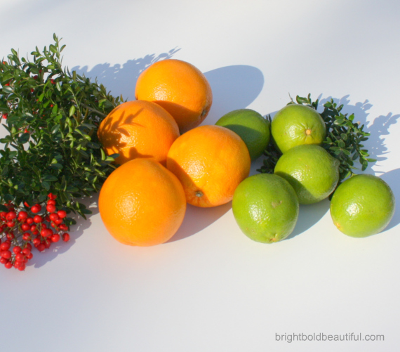 a seasonal holiday arrangement, christmas decorations, crafts, seasonal holiday decor, Use Oranges and LImes