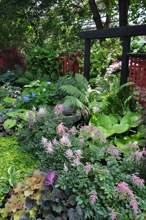 a garden in the shade, container gardening, flowers, gardening, landscape, outdoor living, succulents
