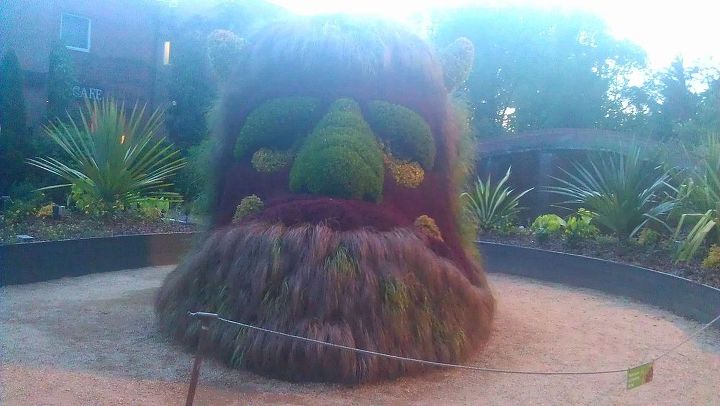 atlanta botanical gardens for date night, gardening, succulents, This is the ogre