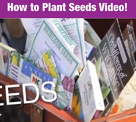 How to Start Seeds to Save Money on Plants For Your Garden: Gardening Tips