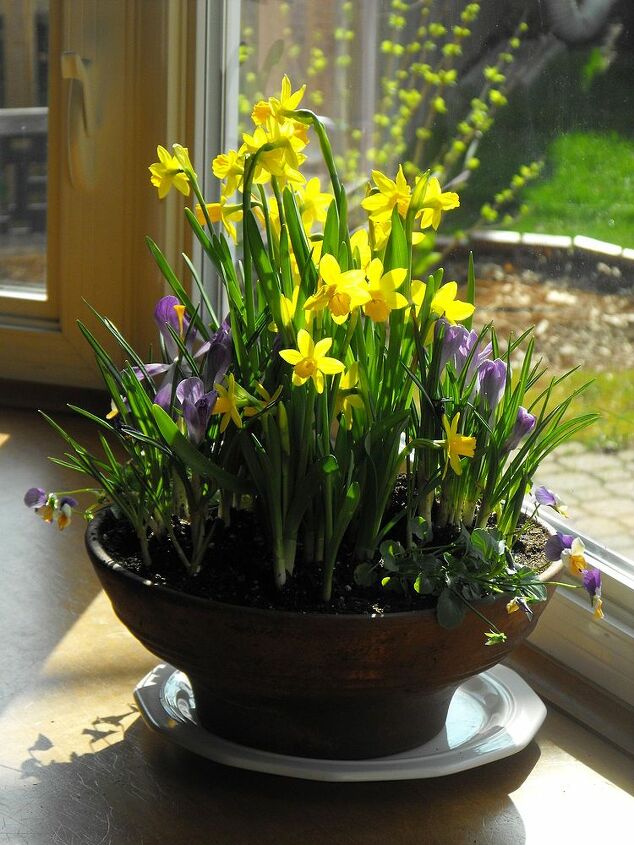 spring, container gardening, easter decorations, flowers, gardening, seasonal holiday d cor
