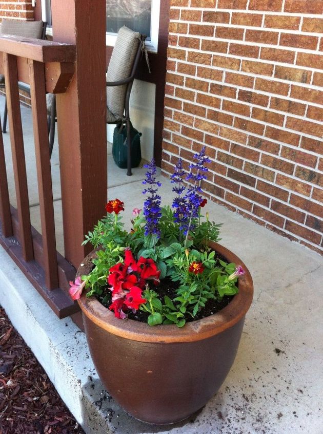 my front garden, flowers, gardening, perennials, The third medium sized pot sits on the front porch I again used a Salvia and filled it in with marigolds and petunias