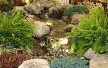 Aquascape Indoor Pondless Display at Arett Sales Open House