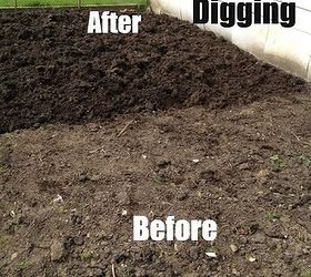 what is the difference between a shovel and a spade, Double Digging is done with a shovel A traditional practice that s better than your rototiller
