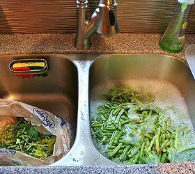 how to freeze green beans from the garden, gardening, Toss the tips of the bean into one side of the sink to be composted and the other edible ends into soapy water