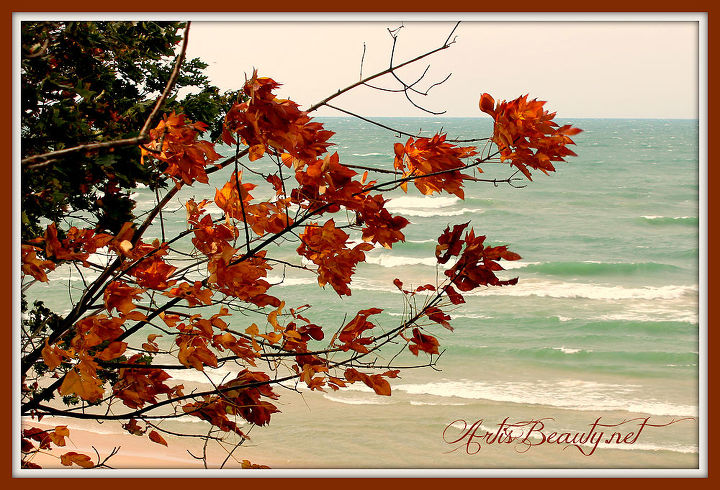 come see natures paintbrush on a trail run along lake michigan, outdoor living, autumn along lake michigan