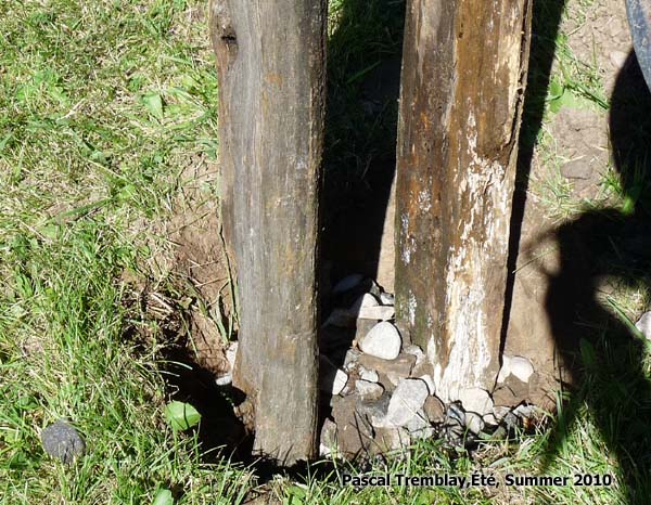 rustic split rail fence how to build a cedar rail fence, diy, fences, how to, landscape, outdoor living, repurposing upcycling, woodworking projects, Dig fence posts holes Building Instructions