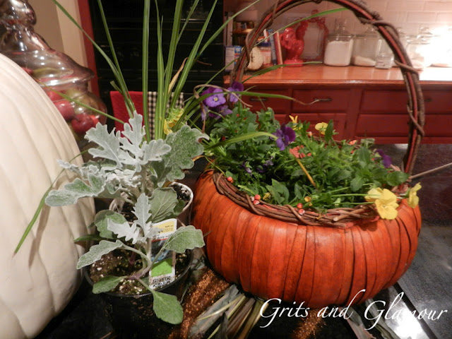 faux pumpkin planter, crafts, flowers, halloween decorations, seasonal holiday decor, Basic flowers from the garden center I used fresh ivy cuttings from my garden