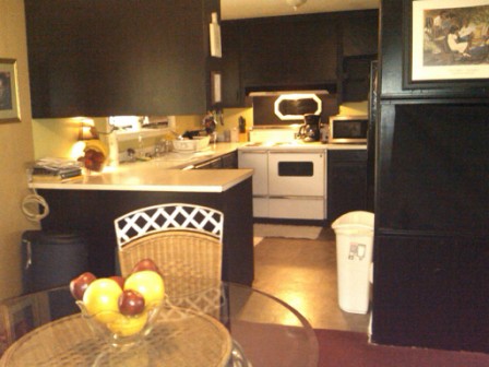 kitchen before and after, home improvement, kitchen backsplash, kitchen design, pic taken in 2009
