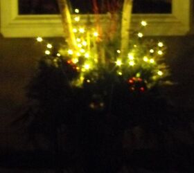 outdoor christmas decorations, seasonal holiday d cor, Twig lights in my winter container pot