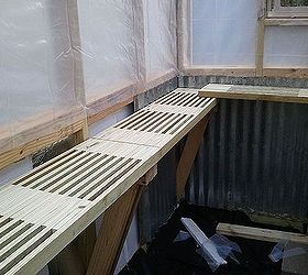 greenhouse built for less than 700, diy, gardening, outdoor living, Inside we used styrofoam panels for insulation in the lower walls and more leftover metal panels to finsh walls That s leftover wood that my husband cut up and made into shelving that could drain water