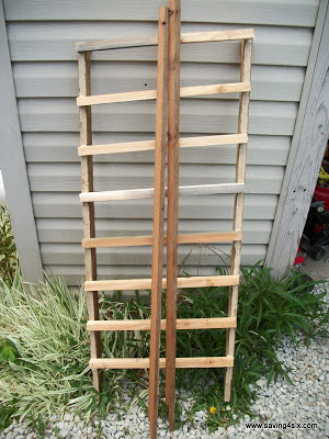 diy cedar trellis, diy, flowers, gardening, woodworking projects, we ripped the down to 3 inches for the posts and trusses and 3 4 3 4