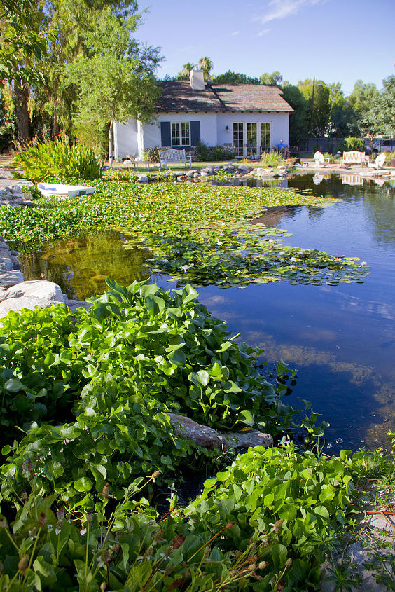 our work, flowers, gardening, outdoor living, pets animals, ponds water features, A lake is the landscape s most beautiful and expressive feature It is earth s eye looking into which the beholder measures the depth of his own nature Henry David Thoreau Walden The Ponds 1854
