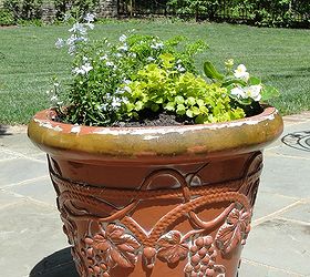 giving garden pots new life with annie sloan chalk paint, chalk paint, crafts, gardening, outdoor living, painting, repurposing upcycling