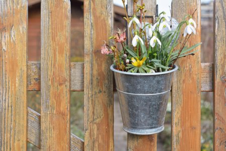 7 ways to dress up your fence, fences