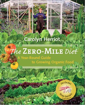 braiding garlic, gardening, Be sure to check out The Zero Mile Diet by Carolyn Herriot You can also find the full instructions for braiding garlic on the blog