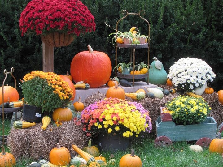 fall yard decorating, gardening