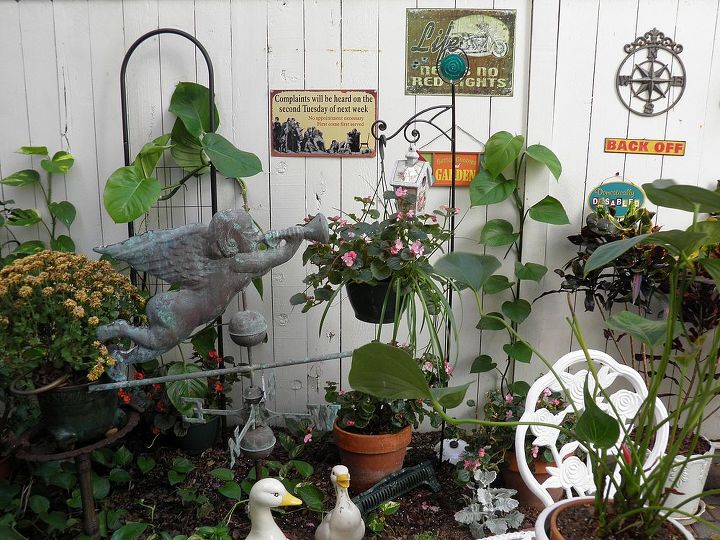 garden whimsey, gardening, Cherub weather vane and more signs in my back yard