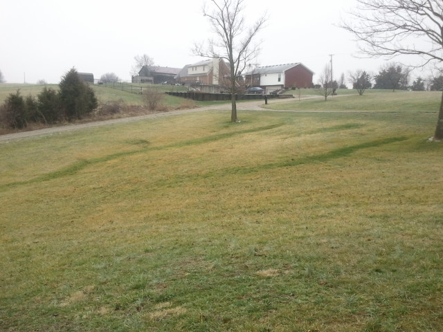 wet spots in the yard, landscape, outdoor living, SW View from porch showing driveway