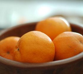the 16 best healthy edible plants to grow indoors, gardening, These sweet little fruits are a decent source of antioxidants calcium phosphorous magnesium and fiber