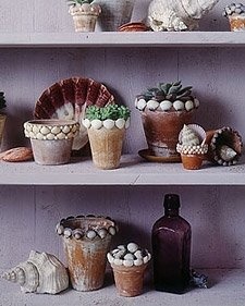 coastal home design ideas, halloween decorations, seasonal holiday d cor, wreaths, Decorate and upcycle old or rustic pots All You need is glue and sea shells