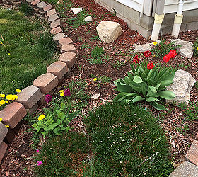 garden advice, flowers, gardening, Front flower bed I ve pulled some dandelions already