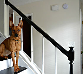 entryway progress, foyer, stairs, My dog wanted to be the model in my shot
