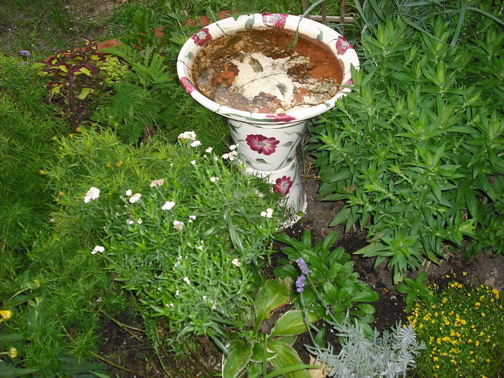 new garden and pond, flowers, gardening, hibiscus, outdoor living, ponds water features, need to repaint my birdbath I made this winter inside needs it