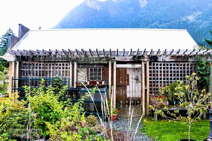 falling for a garden gone wild with amazing reclaimed features, flowers, gardening, outdoor living, repurposing upcycling, This sweet garden shed has a few hidden secrets The most prominent are