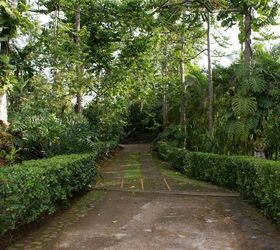 new pics costa rica 11 24 13, flowers, gardening, landscape, A jungle driveway is a big part of the landscape