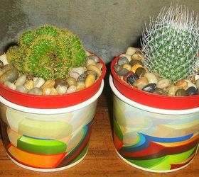 recycle used food cups and add river stones to make your cacti planters daintier, gardening, viola no sweat and you got a new daintier look of cacti at home