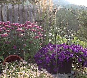 mountain yard in british columbia, flowers, gardening