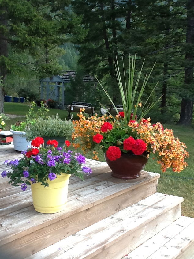 mountain yard in british columbia, flowers, gardening