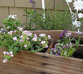 repurpose a vintage tool box into a planter, flowers, gardening, repurposing upcycling, Busy pilling it up with flowers