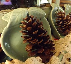 pinecones beautiful natural and ideal for decorating your home, chalkboard paint, crafts, seasonal holiday decor, Pine cone d cor is limitless